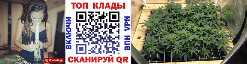 Где купить Кувшиново Галлюциногенные грибы  АМФЕТАМИН  ГАШ  Мефедрон  Конопля 