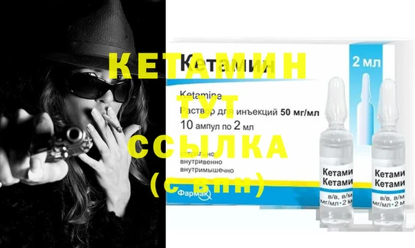 индика Кулебаки