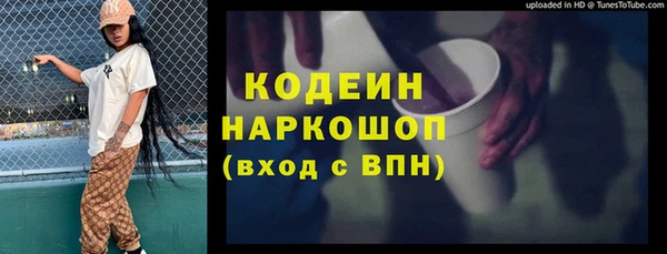 индика Кулебаки