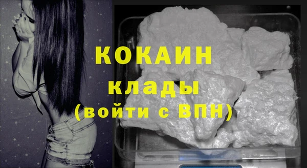 индика Кулебаки